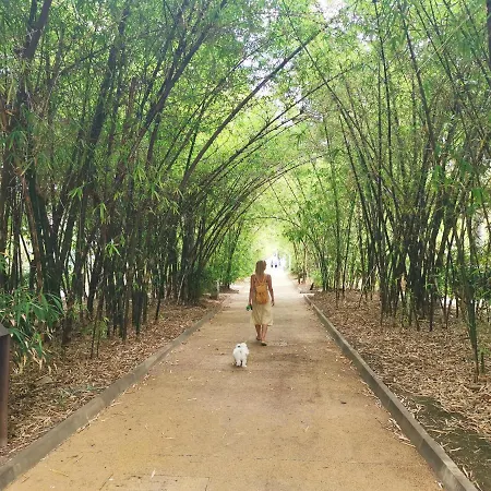 Home2book Trendy & Centric Cruz Apartmán *